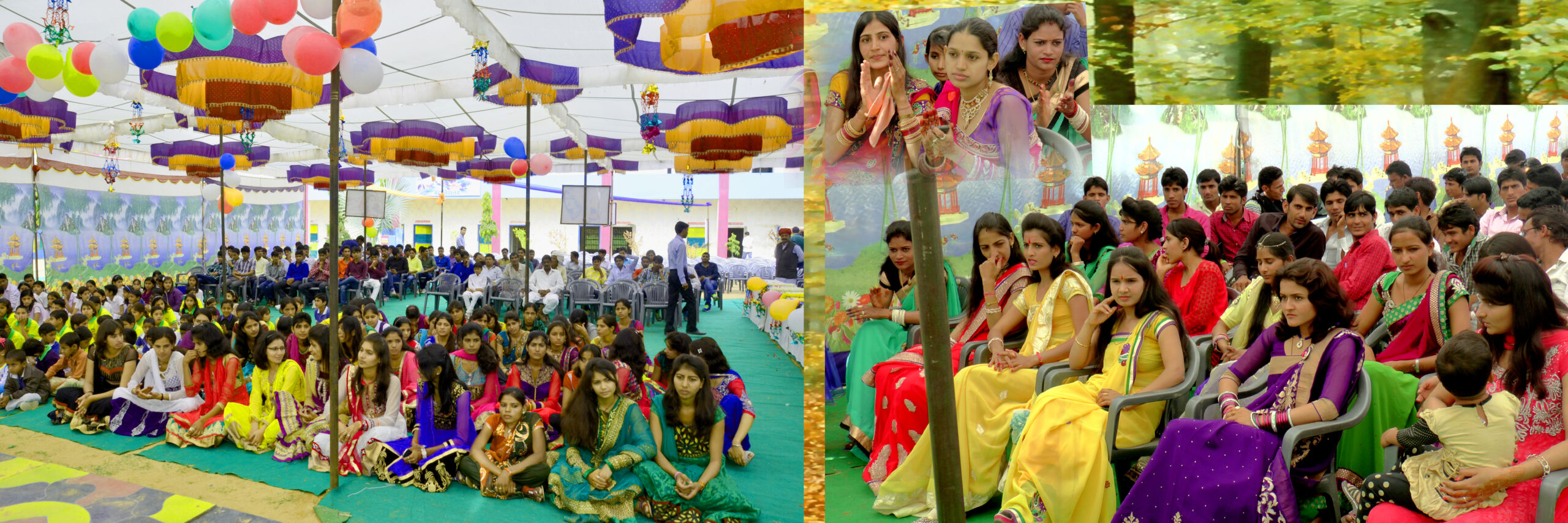 Gallery_Image